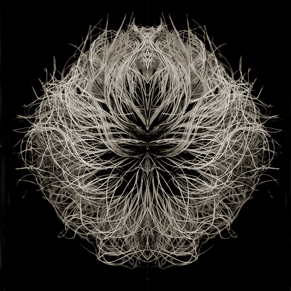 Featured work by Allan Baillie